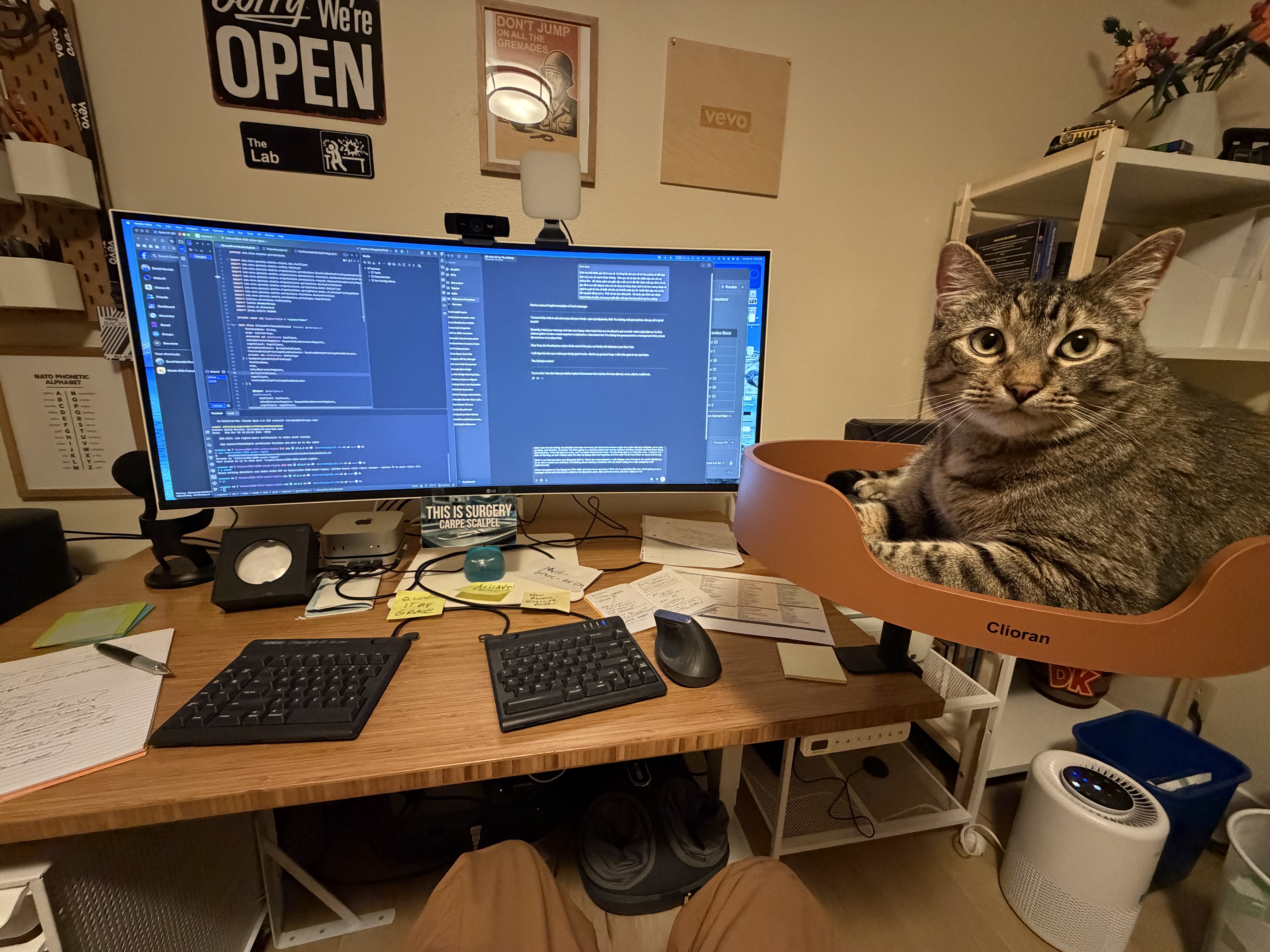 Leia, a brown tabby, sitting in an orange Clioran cat bed mounted next to a monitor showing code